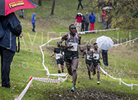 Javier Gandul Fotografía Deportes